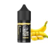 Terminal POD EDITION 10/30ml By Steam train